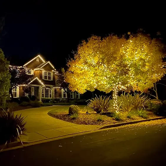 Where We Twinkle
